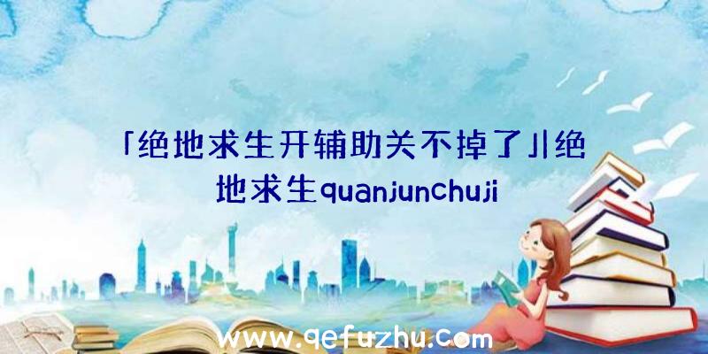 「绝地求生开辅助关不掉了」|绝地求生quanjunchuji透视辅助